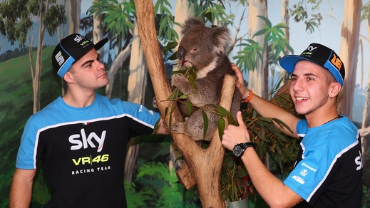 La MotoGP sbarca in Australia. I piloti con koala e canguri