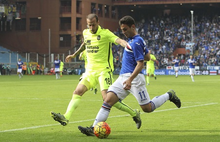 Serie A Sampdoria, Bonazzoli: «Palermo, un'altra battaglia»