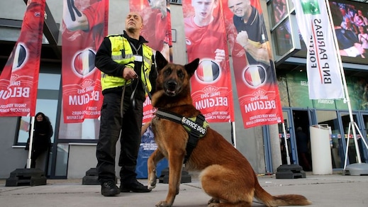 Giubbotti antiproiettile per i cani poliziotto