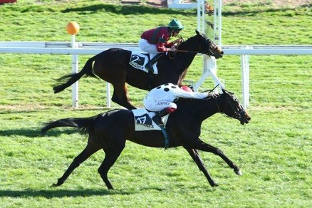 Ippica, doppietta da quasi 170/1 per Rispoli