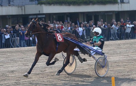 Ippica, Bellei preme Ok sul Telecomando