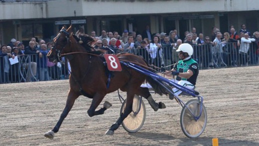 Ippica, Bellei preme Ok sul Telecomando