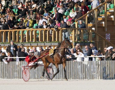 Ippica, a Milano un “Locatelli” in rosa