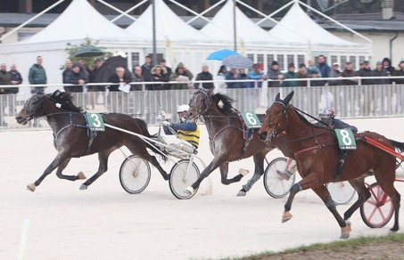 Ippica, è finito il digiuno di Radiofreccia Fi