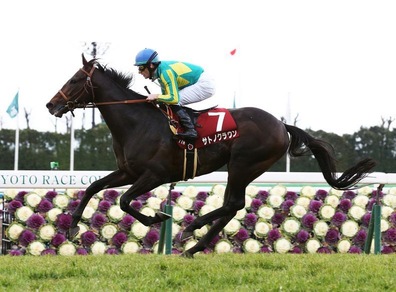 Ippica, successi di qualità per Demuro sr