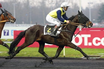 Ippica, un Dreamer nel segno del Tricolore