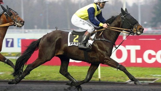 Ippica, un Dreamer nel segno del Tricolore