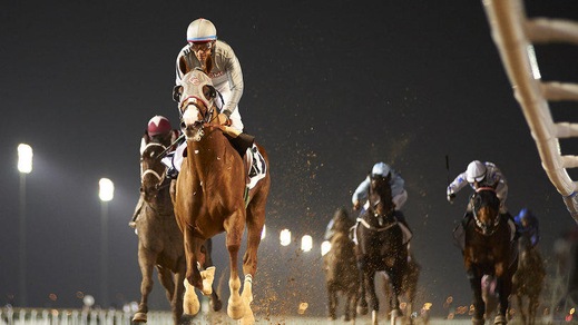 Ippica, California Chrome passeggia a Meydan
