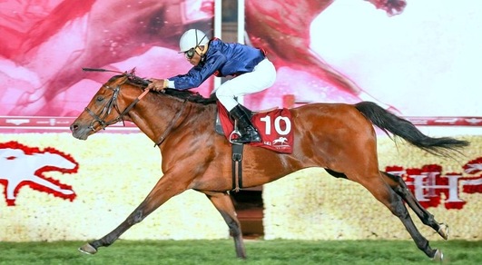 Ippica, finita la stagione 2015-2016 in Qatar