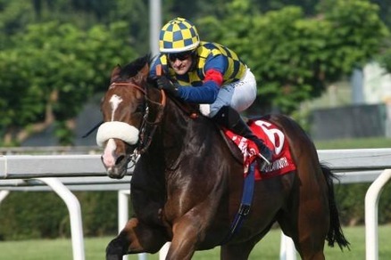 Ippica, niente Dubai per Dylan Mouth