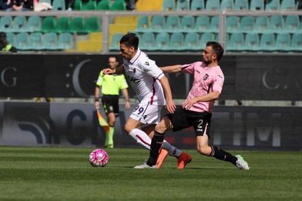 Palermo-Bologna 0-0, reti inviolate al Barbera