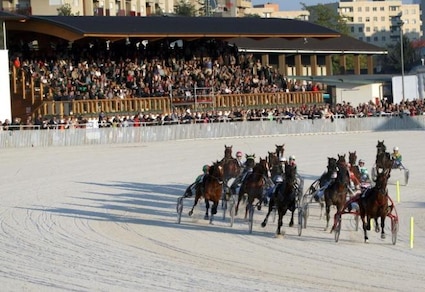 Ippica, attività regolare negli ippodromi