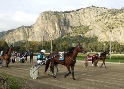 Ippica, i provvedimenti per il TQQ di Palermo