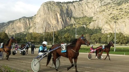 Ippica, i provvedimenti per il TQQ di Palermo