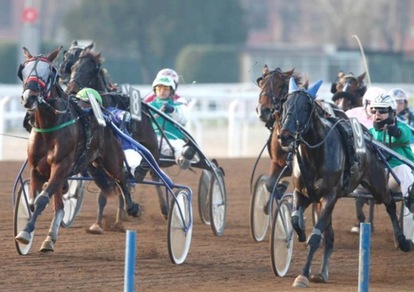 Ippica, parte il circuito classico dei 3 anni