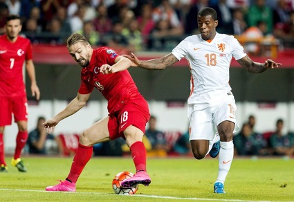 Calciomercato Inter, arriva Erkin dal Fenerbahce