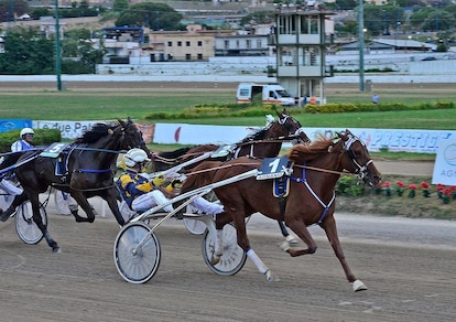 Ippica, Tris-Quarté-Quinté anche di domenica