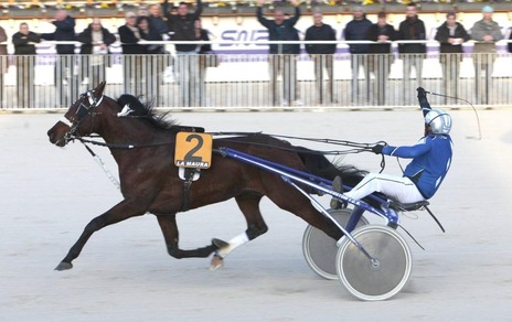 Ippica, doppio gran premio alle Padovanelle