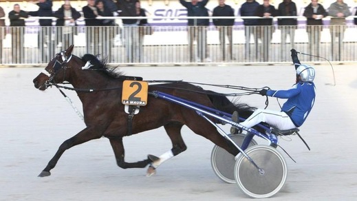 Ippica, doppio gran premio alle Padovanelle