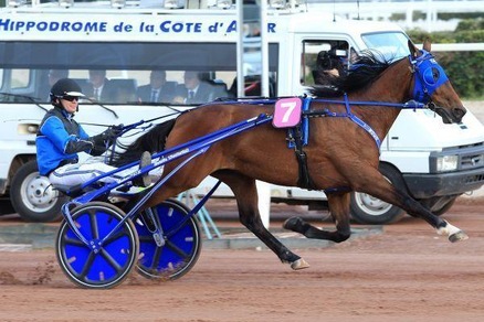Ippica, terno di Timoko nel Vitesse