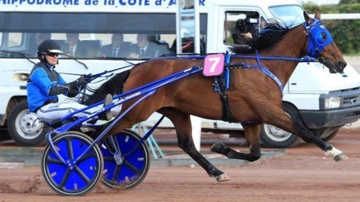 Ippica, terno di Timoko nel Vitesse