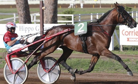 Ippica, a Padova scoperto un Tesoro Superbo