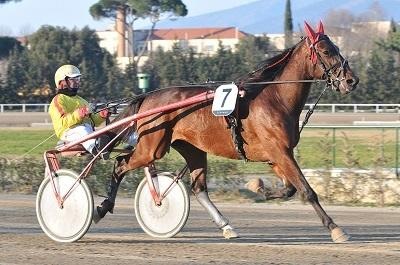 Ippica, Superbo Capar ci riprova a Trieste