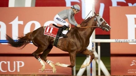 Ippica, stavolta California Chrome non fallisce