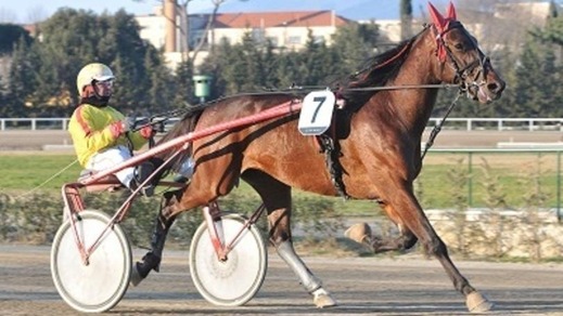 Ippica, pronta replica di Superbo Capar