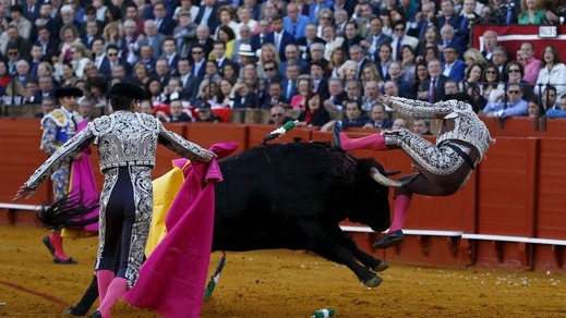 Paura a Siviglia, il torero incornato durante una corrida