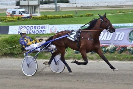 Ippica, Rue Varenne Dany verso il Lotteria