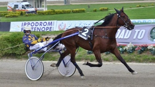 Ippica, Rue Varenne Dany verso il Lotteria