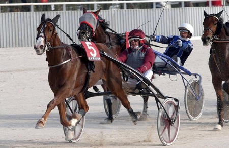 Ippica, Verbeeck “debutta” con Ehlert