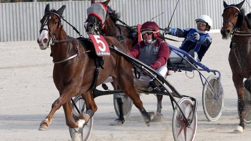 Ippica, Verbeeck “debutta” con Ehlert