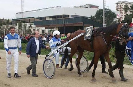 Ippica, Talabarteria nel GP Trinacria