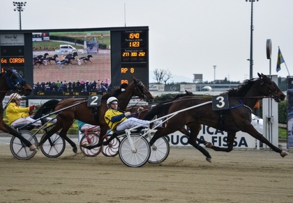 Ippica, Radiofreccia Fi...la anche nel Mirafiori