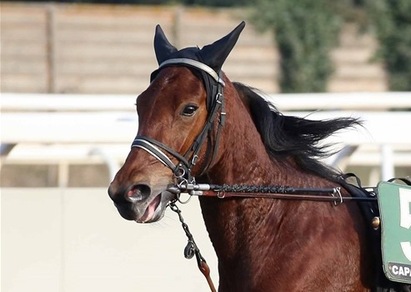 Ippica, due file piene per l'Italia