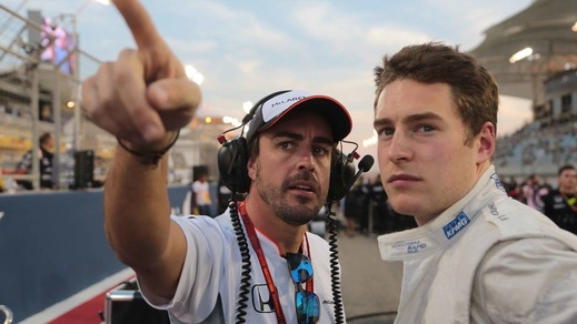 F1, Vandoorne deciso: «Merito un posto da titolare»