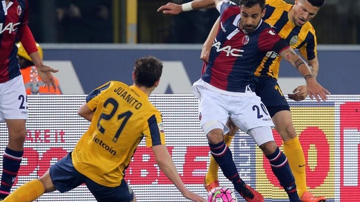 Serie A Bologna, Maietta: «Un onore la fascia da capitano»