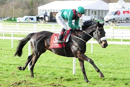 Ippica, tre Aga Khan iscritti al Derby Italiano