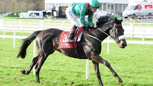 Ippica, tre Aga Khan iscritti al Derby Italiano