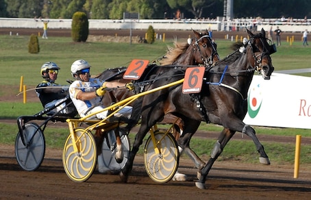 Ippica, corse a singhiozzo a Capannelle