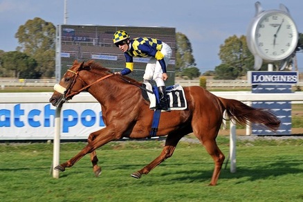 Ippica, rientro in forse per Sound of Freedom