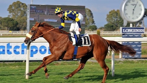 Ippica, rientro in forse per Sound of Freedom