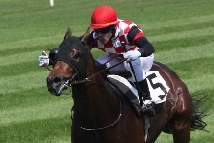 Ippica, Michele Strogoff per il Parioli