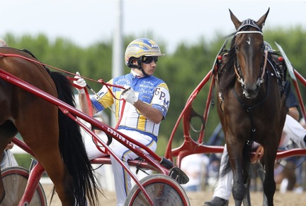 Ippica, per il momento corse regolari