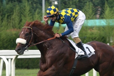 Ippica, Ambrosiano per sei a Milano