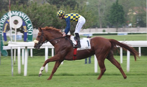 Ippica, gran rientro di Circus Couture