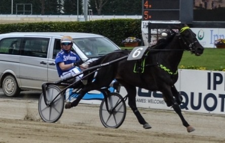 Ippica, show di Timone Ek tra i 4 anni