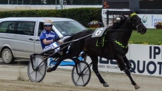 Ippica, show di Timone Ek tra i 4 anni